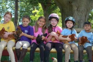 Horseback riding lessons near Boston: Sweet Meadow Farm