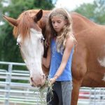 Horseback riding lessons near Boston: Sweet Meadow Farm