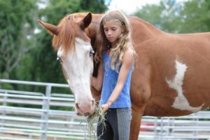 Horseback riding lessons near Boston: Sweet Meadow Farm