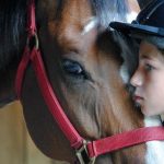 Horseback riding lessons near Boston: Sweet Meadow Farm
