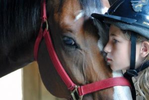 Horseback riding lessons near Boston: Sweet Meadow Farm