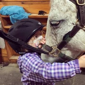 Horse riding lessons near Boston: Wildflower Stables