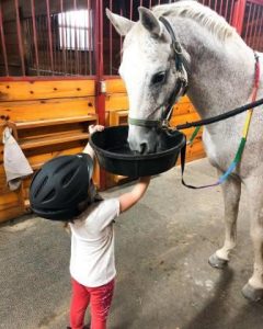 Horse riding lessons near Boston: Wildflower Stables